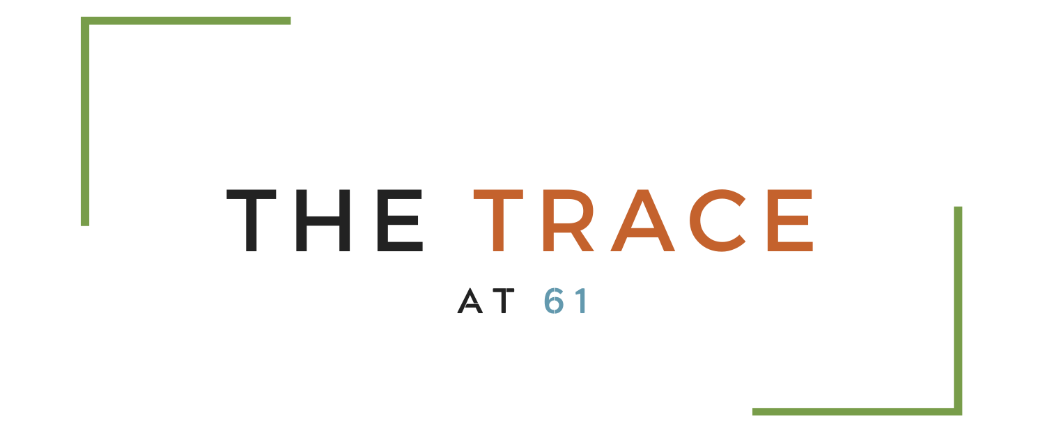 The Trace at 161 logo
